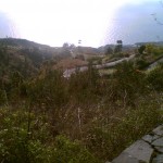 LaPalma5